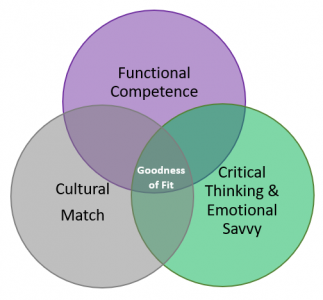 Executive Search Goodness of Fit Model 2